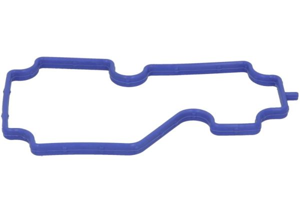 Gasket, cylinder head (ENT020105)