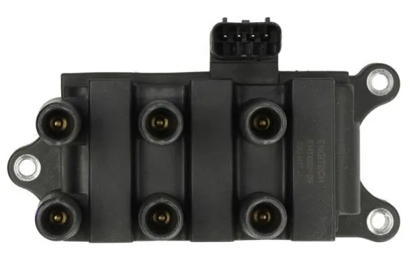 Ignition Coil (ENT960109)