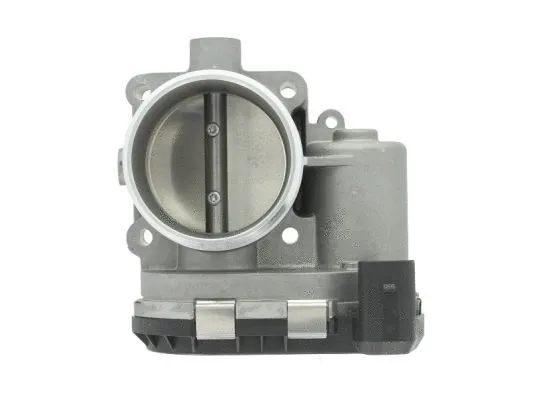 Throttle Body (ENT310011)