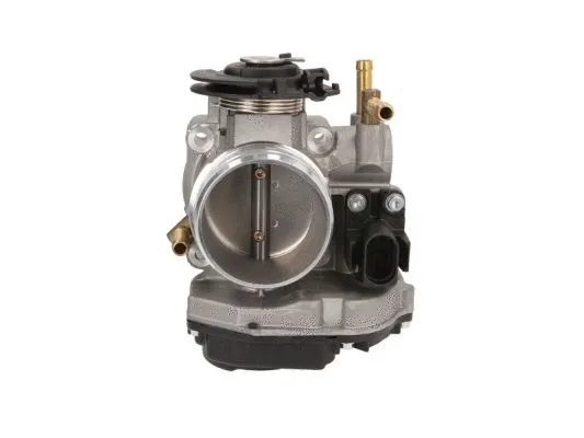 Throttle Body (ENT310027)