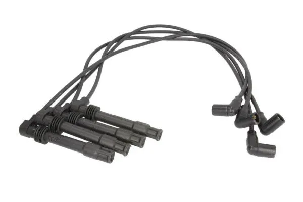 Ignition Cable Kit (ENT910331)