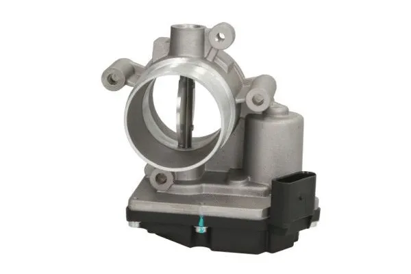 Throttle Body (ENT310032)