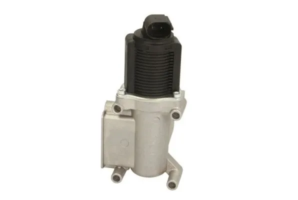 EGR Valve (ENT500067)
