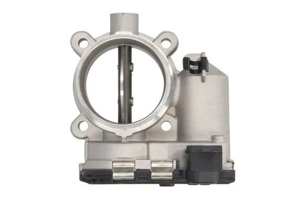 Throttle Body (ENT310047)