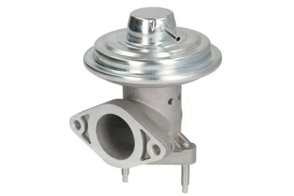 EGR Valve (ENT500117)