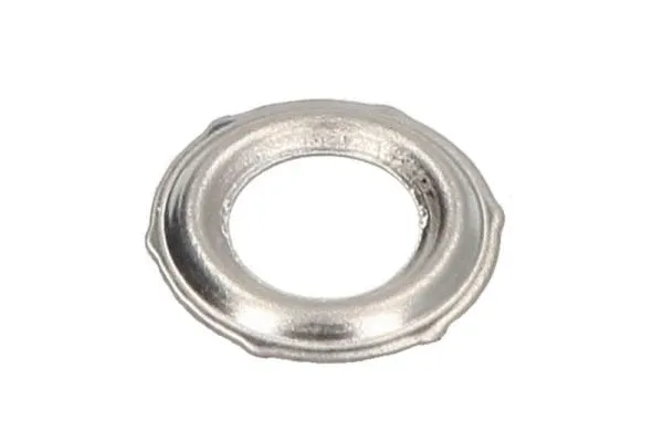 Heat Shield, injection system (ENT250230/1)