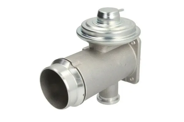 EGR Valve (ENT500074)