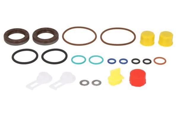 Seal Kit, injector pump (ENT210053)