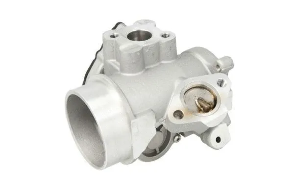 EGR Valve (ENT500113)
