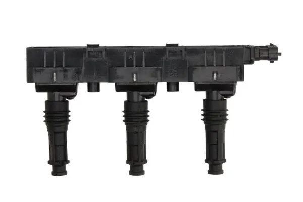 Ignition Coil (ENT960024)