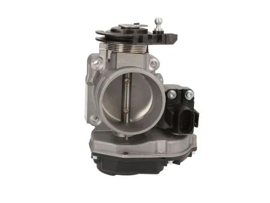 Throttle Body (ENT310022)
