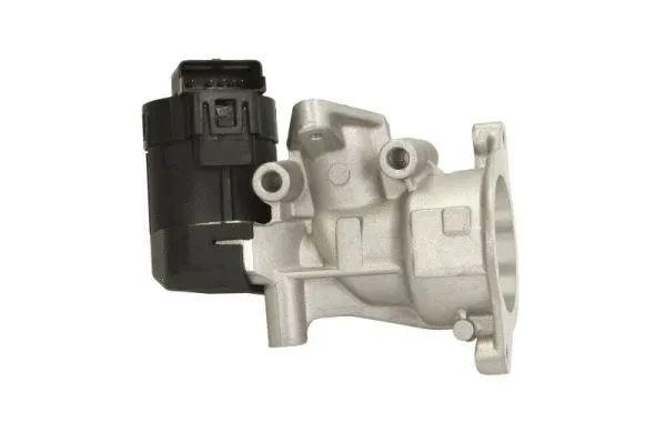 EGR Valve (ENT500055)