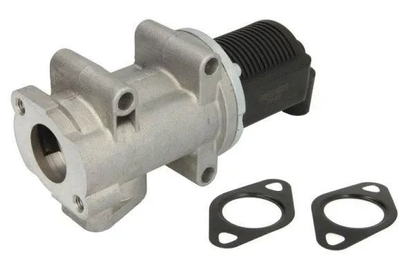 EGR Valve (ENT500012)