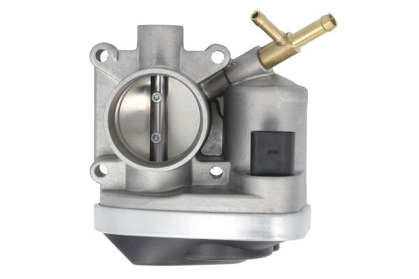 Throttle Body (ENT310007)
