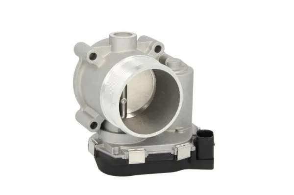 Throttle Body (ENT310029)
