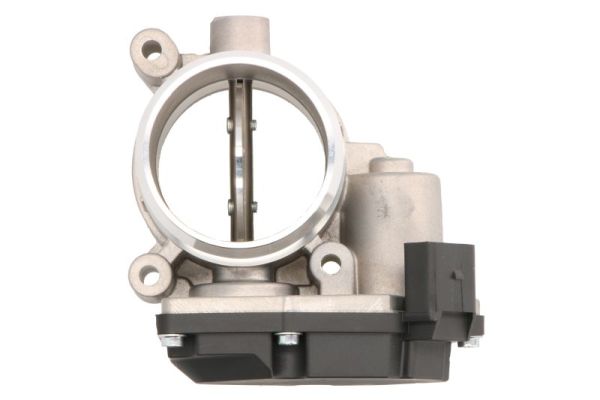 Throttle Body (ENT310039)