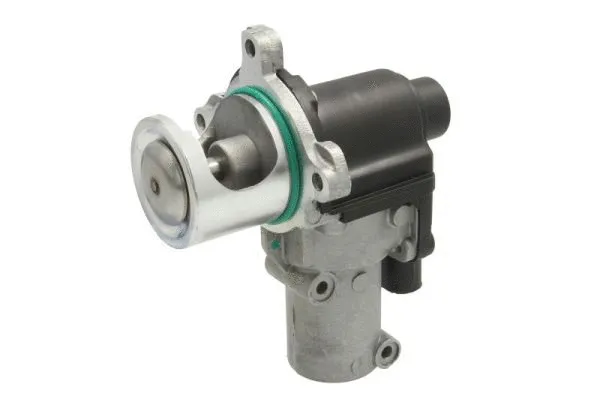 EGR Valve (ENT500084)