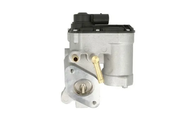 EGR Valve (ENT500093)