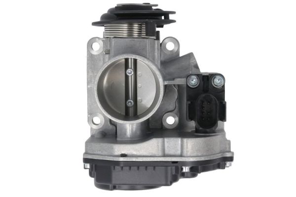 Throttle Body (ENT310003)