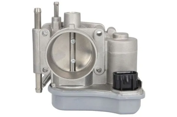 Throttle Body (ENT310044)