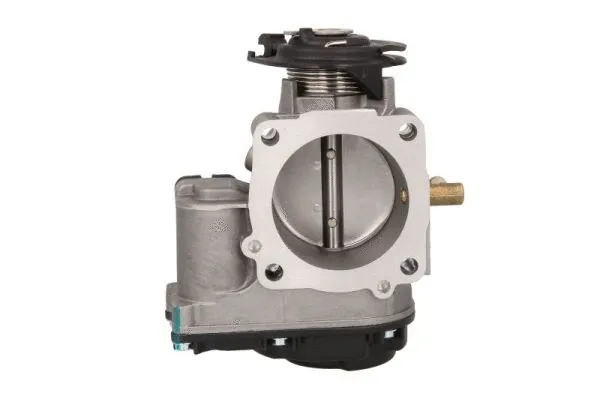 Throttle Body (ENT310024)