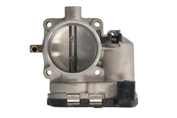 Throttle Body (ENT310050)