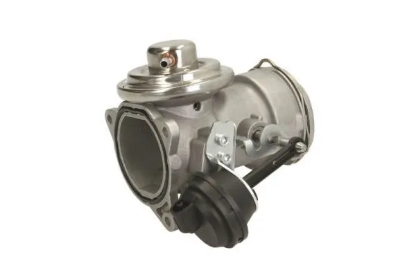 EGR Valve (ENT500050)