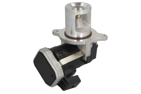 EGR Valve (ENT500156)