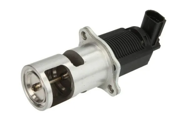EGR Valve (ENT500003)