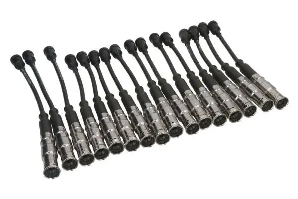 Ignition Cable Kit (ENT910301)