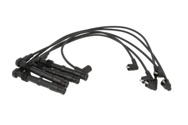 Ignition Cable Kit (ENT910241)