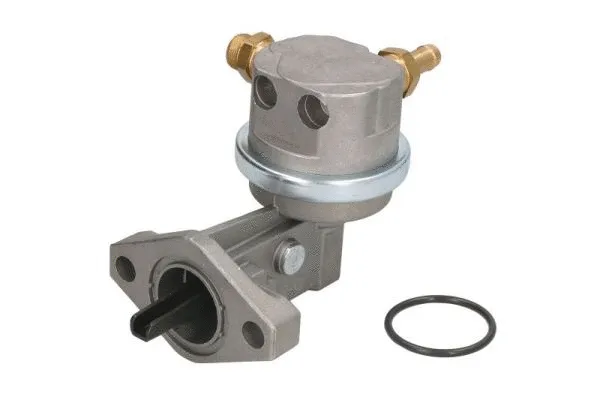 Fuel Pump (ENT110253)