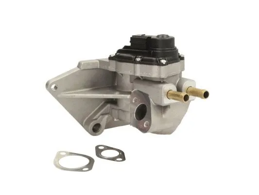 EGR Valve (ENT500042)