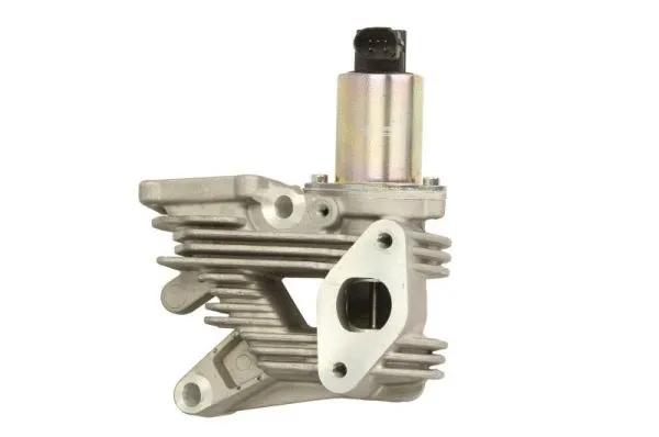 EGR Valve (ENT500081)