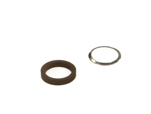 Seal Ring, injector (ENT250025)
