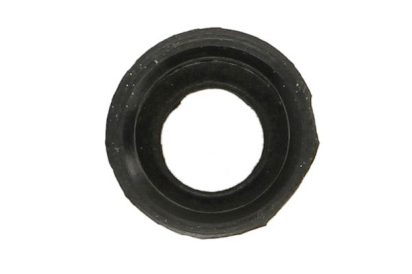 Gasket, cylinder head cover (ENT010935)