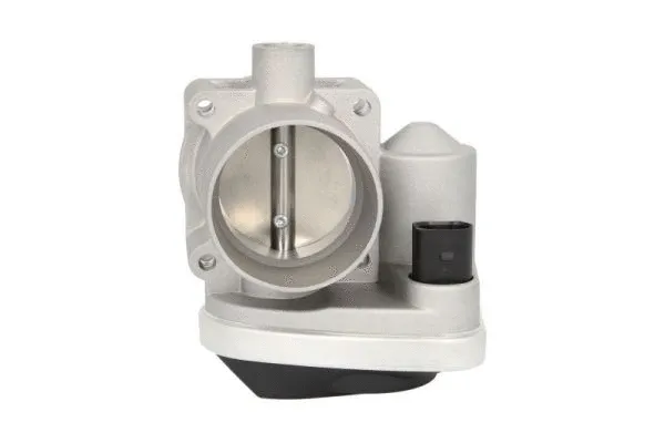 Throttle Body (ENT310028)