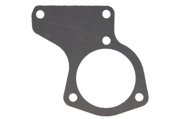 Seal, thermostat (ENT010817)