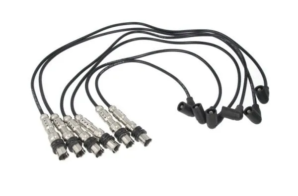 Ignition Cable Kit (ENT910427)