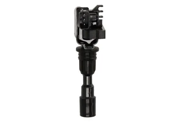 Ignition Coil (ENT960018)