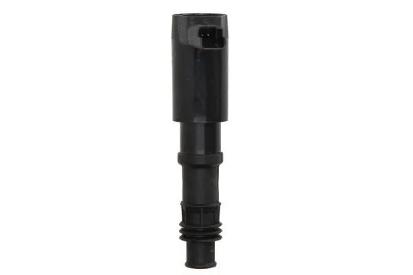 Ignition Coil (ENT960005)