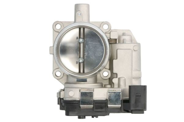 Throttle Body (ENT310056)