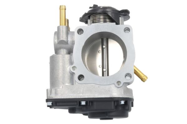 Throttle Body (ENT310009)