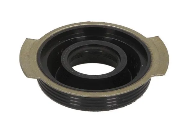 Seal Ring, injector