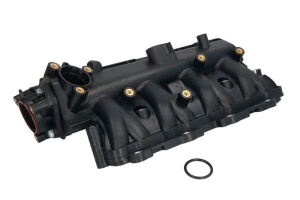 Intake Manifold Module (ENT320121)