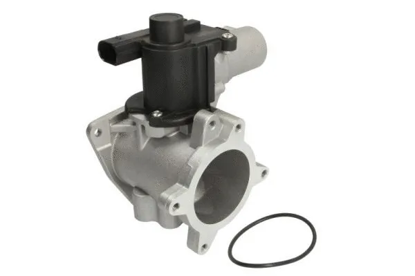 EGR Valve (ENT500071)