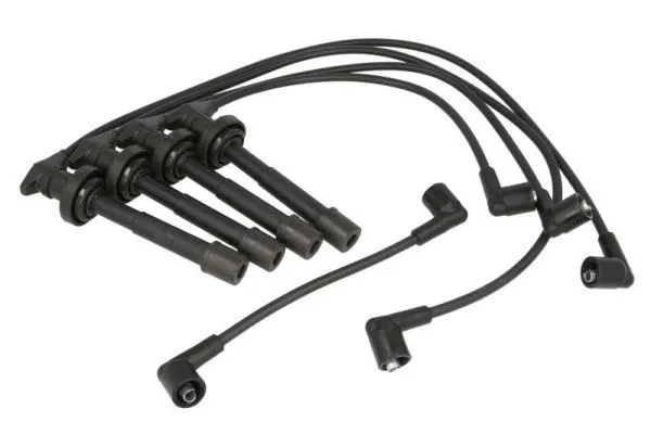 Ignition Cable Kit (ENT910042)