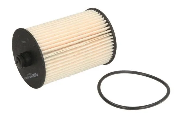 Fuel Filter (PUR-PF0025)
