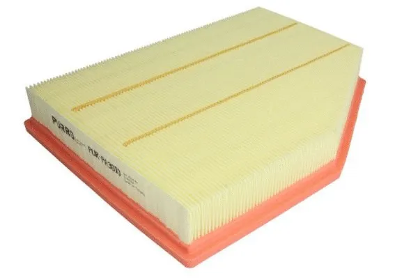 Air Filter (PUR-PA3010)