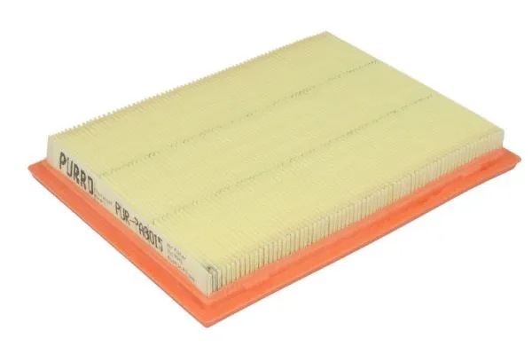 Air Filter (PUR-PA8015)